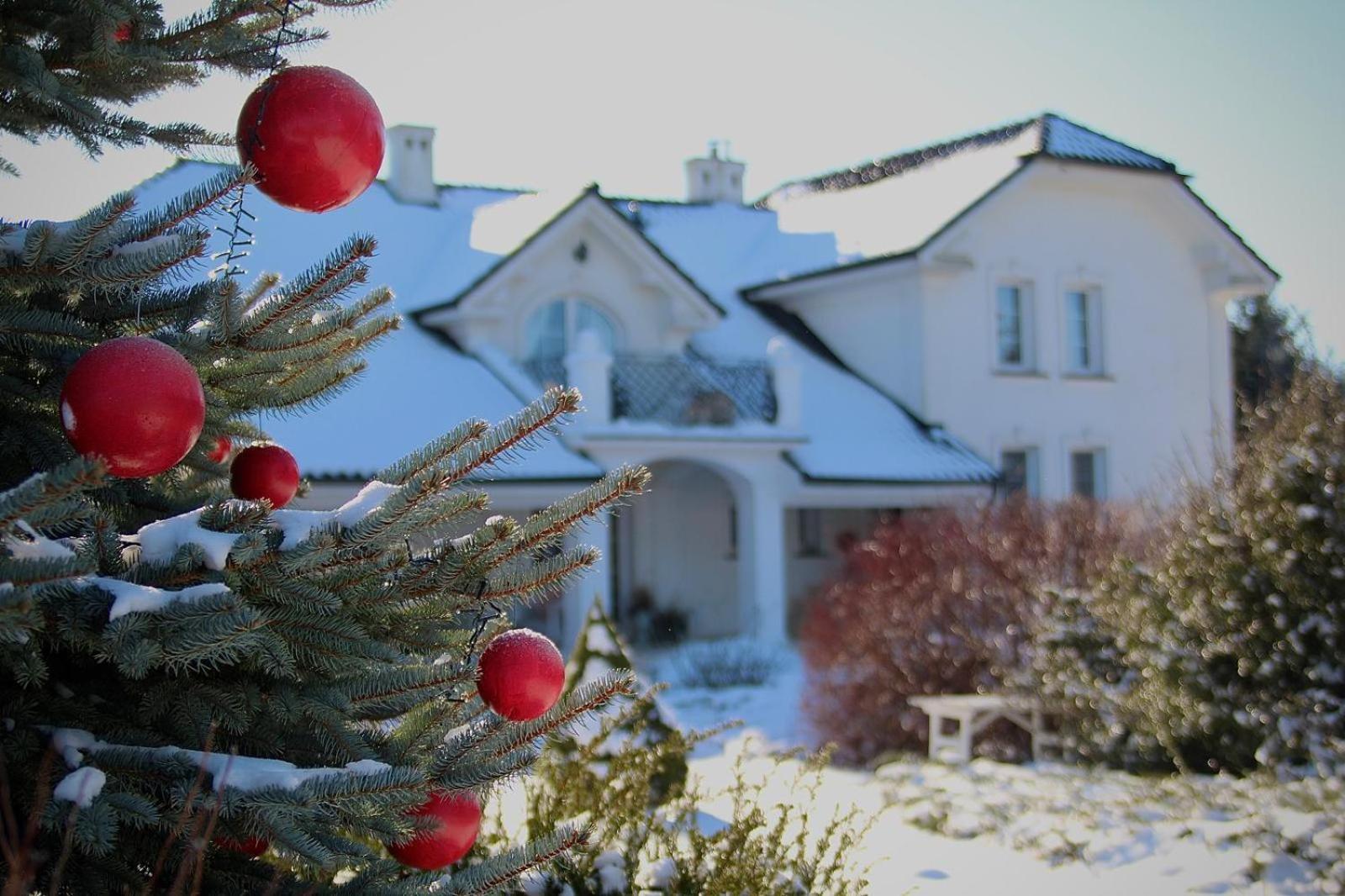 Zielone Zacisze Bed & Breakfast Murzynowo Kościelne Eksteriør bilde