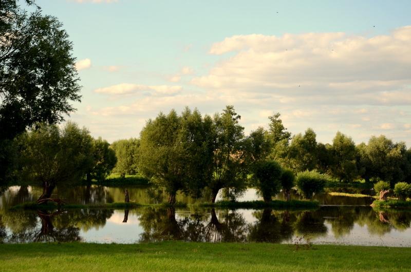 Zielone Zacisze Bed & Breakfast Murzynowo Kościelne Eksteriør bilde